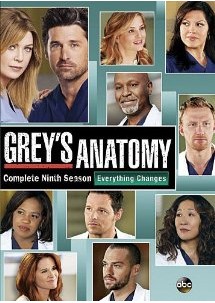 Grey’s Anatomy: Season 9 (2013)