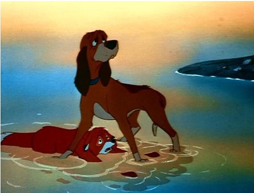 The Fox and the Hound-9