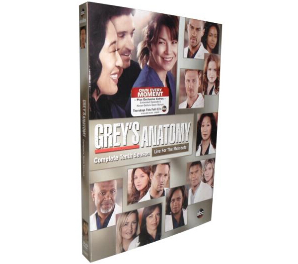 Grey's Anatomy season 10-2