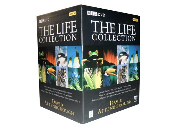 the life collection-3