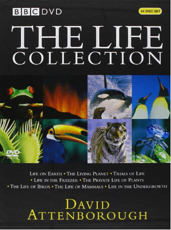 the life collection