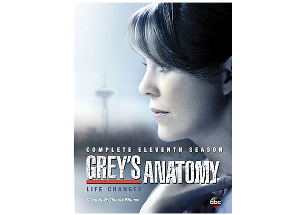 Grey's Anatomy Season 11-1