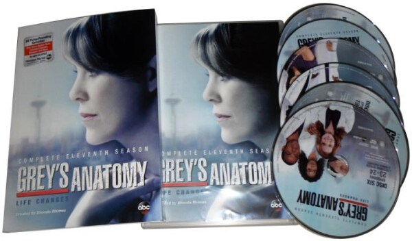 Grey's Anatomy Season 11-4