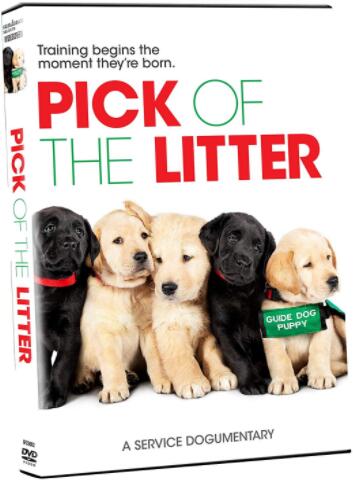 Pick Of The Litter