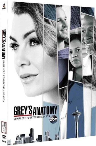 Grey’s Anatomy: Season 14